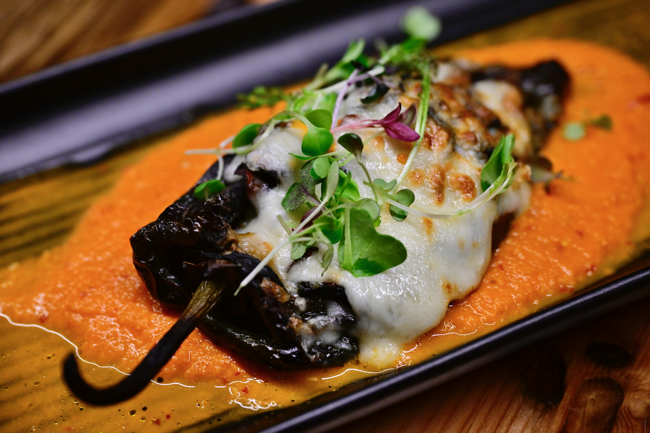 Little Donkey launches with casual elevated Mexican food Westside Seattle